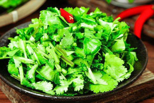 香菜的營養(yǎng)價值有哪些 香菜不適合什么人吃 香菜的營養(yǎng)價值有哪些 香菜不適合什么人吃