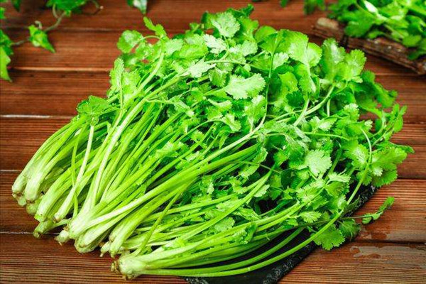 香菜的營養(yǎng)價值有哪些 香菜不適合什么人吃 香菜的營養(yǎng)價值有哪些 香菜不適合什么人吃