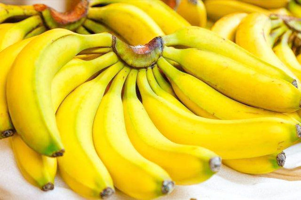 香蕉是哪個(gè)季節(jié)的水果 香蕉是不是堿性食物 香蕉是哪個(gè)季節(jié)的水果 香蕉是不是堿性食物