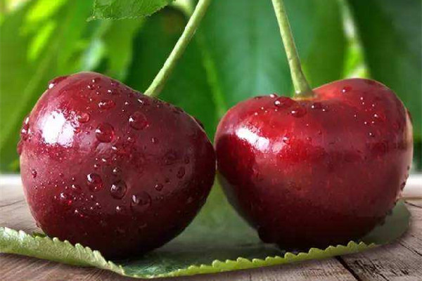 車?yán)遄优路显趺聪吹?車?yán)遄訒?huì)吃的嘴唇染色嗎 車?yán)遄优路显趺聪吹?車?yán)遄訒?huì)吃的嘴唇染色嗎