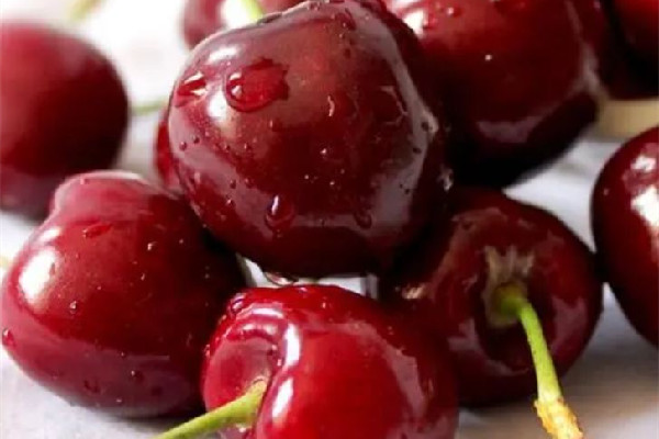 車?yán)遄淤I回來(lái)可以保存幾天 車?yán)遄釉趺幢4娣诺臅r(shí)間長(zhǎng) 車?yán)遄淤I回來(lái)可以保存幾天 車?yán)遄釉趺幢4娣诺臅r(shí)間長(zhǎng)