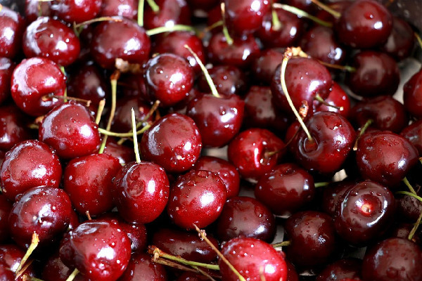 車?yán)遄佑锌辔妒窃趺椿厥?車?yán)遄涌嗔耸遣皇菈牧? alt=