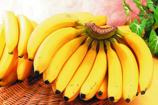 香蕉有減肥效果嗎 香蕉減肥效果好嗎 香蕉有減肥效果嗎 香蕉減肥效果好嗎