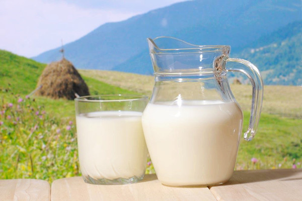 牛奶能不能解酒 牛奶能不能當(dāng)水喝 牛奶能不能解酒 牛奶能不能當(dāng)水喝