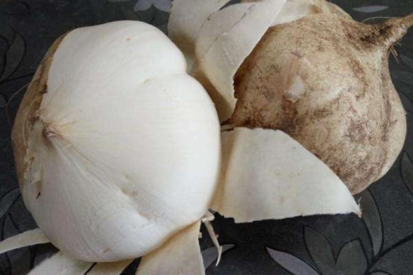 涼薯是上火的還是降火的 涼薯要怎么儲(chǔ)存才不會(huì)壞 涼薯是上火的還是降火的 涼薯要怎么儲(chǔ)存才不會(huì)壞