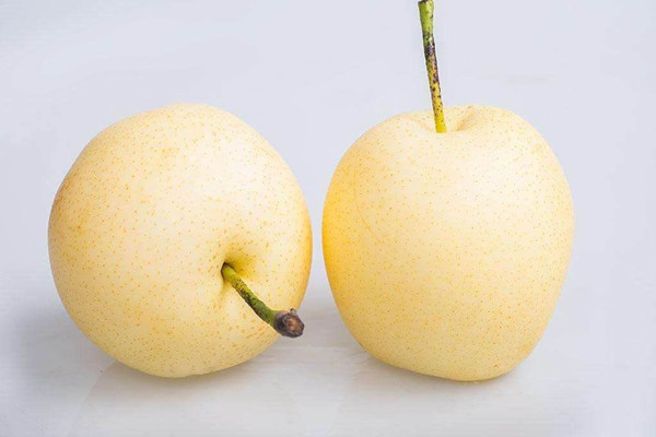 雪梨一天吃幾個合適 雪梨一天什么時候吃最好