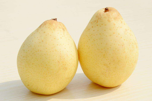 雪梨一天吃幾個(gè)合適 雪梨一天什么時(shí)候吃最好 雪梨一天吃幾個(gè)合適 雪梨一天什么時(shí)候吃最好