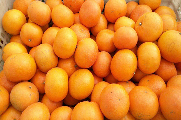 沃柑吃了會上火嗎 沃柑吃多了會拉肚子嗎 沃柑吃了會上火嗎 沃柑吃多了會拉肚子嗎