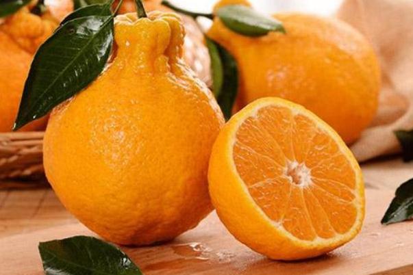 丑橘是酸性還是堿性 丑橘是幾月份的水果 丑橘是酸性還是堿性 丑橘是幾月份的水果