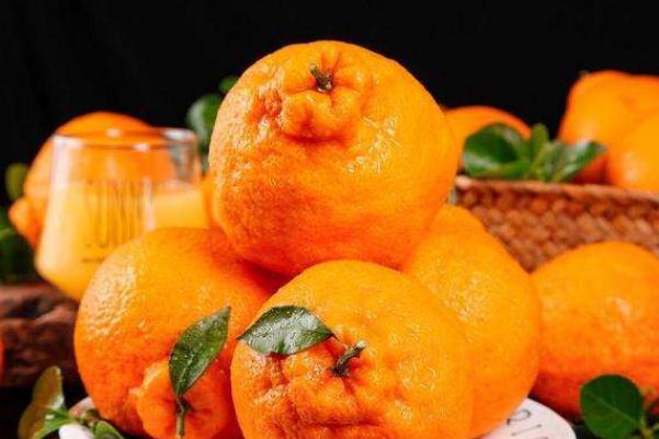 丑橘要放冰箱冷藏嗎 丑橘要怎么挑選 丑橘要放冰箱冷藏嗎 丑橘要怎么挑選