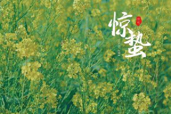 驚蟄會(huì)下雨嗎 驚蟄天氣有什么變化 驚蟄會(huì)下雨嗎 驚蟄天氣有什么變化