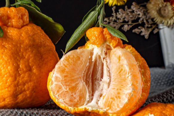 丑橘是酸性還是堿性 丑橘是幾月份的水果 丑橘是酸性還是堿性 丑橘是幾月份的水果