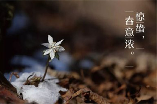 驚蟄過后天氣變暖了嗎 驚蟄過后還會(huì)冷嗎 驚蟄過后天氣變暖了嗎 驚蟄過后還會(huì)冷嗎