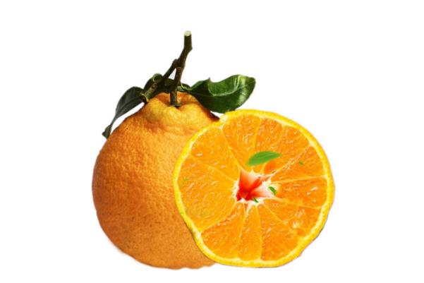 丑橘孕婦吃有什么好處 懷孕初期吃丑橘有什么影響嗎 丑橘孕婦吃有什么好處 懷孕初期吃丑橘有什么影響嗎