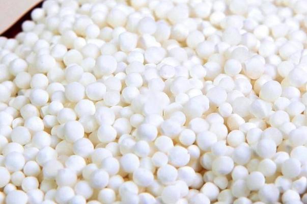 西米要過(guò)冷水嗎 西米有白心可以吃嗎 西米要過(guò)冷水嗎 西米有白心可以吃嗎