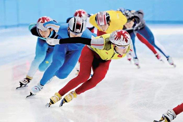 七臺河為什么能走出10位速滑冠軍 七臺河的運動員得過多少枚金牌 七臺河為什么能走出10位速滑冠軍 七臺河的運動員得過多少枚金牌