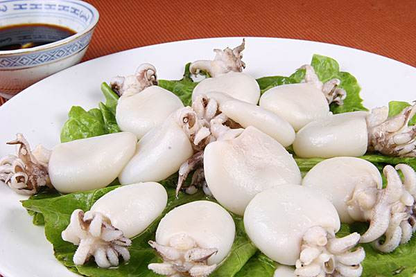 墨魚的功效和作用 墨魚和什么一起煲湯最好 墨魚的功效和作用 墨魚和什么一起煲湯最好