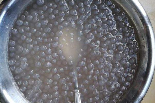 西米的熱量 西米的成分 西米的熱量 西米的成分