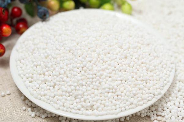 西米對(duì)身體有什么好處 西米對(duì)血糖有影響嗎 西米對(duì)身體有什么好處 西米對(duì)血糖有影響嗎