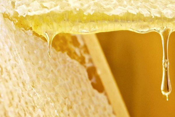 蜂膠是如何形成的 蜂膠是酸性還是堿性的 蜂膠是如何形成的 蜂膠是酸性還是堿性的