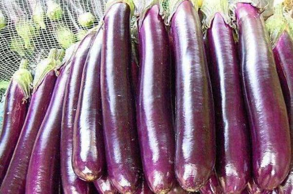 茄子的營養(yǎng)成分 茄子怎么做好吃又簡單 茄子的營養(yǎng)成分 茄子怎么做好吃又簡單