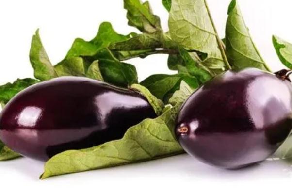 茄子有幾種 茄子有幾種顏色 茄子有幾種 茄子有幾種顏色