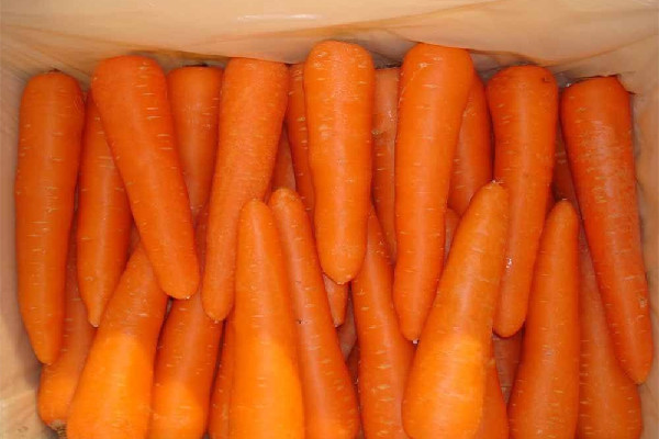 胡蘿卜買帶土的還是干凈的 胡蘿卜買什么樣的好 胡蘿卜買帶土的還是干凈的 胡蘿卜買什么樣的好