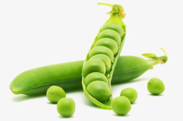 豌豆對胃有沒有好處 豌豆多吃對胃有好處嗎 豌豆對胃有沒有好處 豌豆多吃對胃有好處嗎