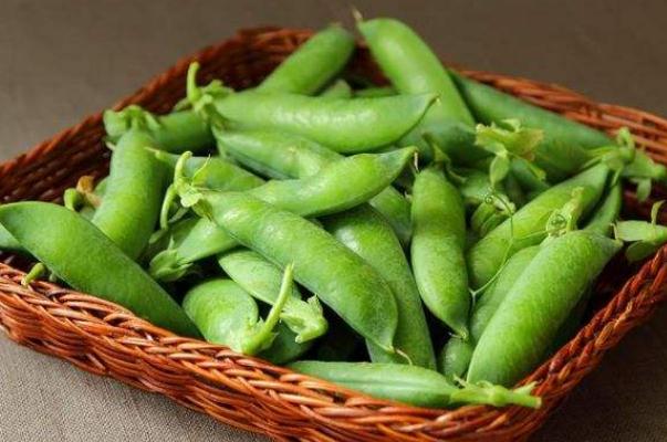 豌豆孕婦可以吃嗎 豌豆孕婦吃了有什么好處 豌豆孕婦可以吃嗎 豌豆孕婦吃了有什么好處