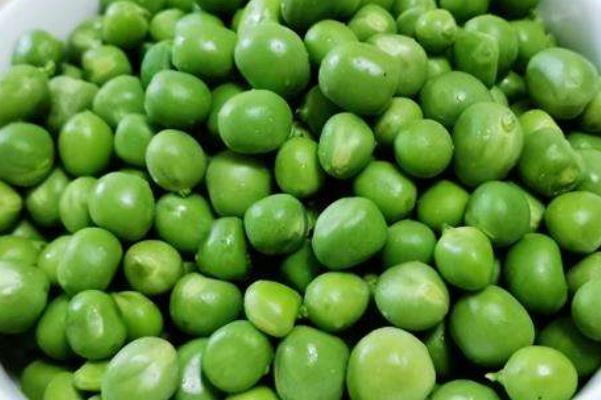 豌豆要焯水再炒嗎 豌豆要煮多久才可以吃 豌豆要焯水再炒嗎 豌豆要煮多久才可以吃