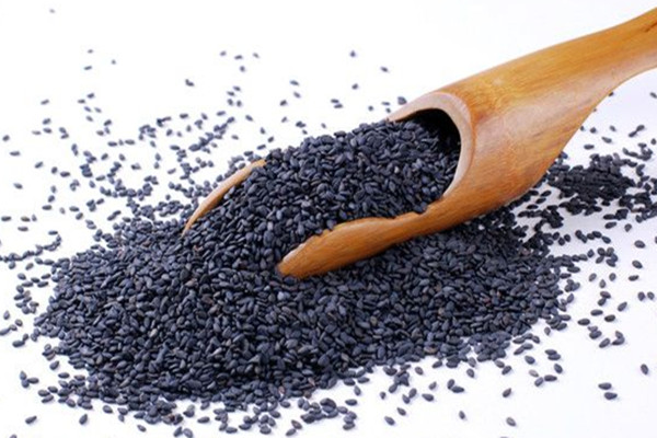 黑芝麻可以天天吃嗎 黑芝麻可以治療脫發(fā)嗎 黑芝麻可以天天吃嗎 黑芝麻可以治療脫發(fā)嗎