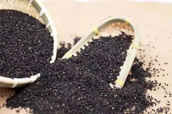 黑芝麻怎么選購(gòu) 黑芝麻怎么清洗 黑芝麻怎么選購(gòu) 黑芝麻怎么清洗