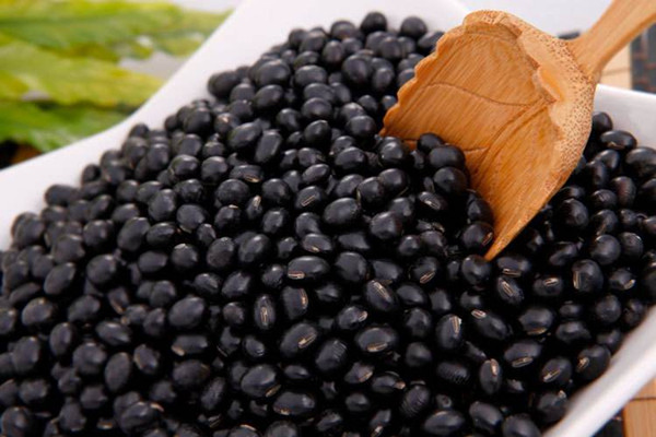黑豆能不能生吃 黑豆能打豆?jié){嗎 黑豆能不能生吃 黑豆能打豆?jié){嗎