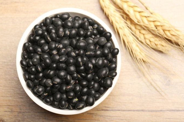 黑豆可以每天吃嗎 黑豆每天吃多少合適 黑豆可以每天吃嗎 黑豆每天吃多少合適