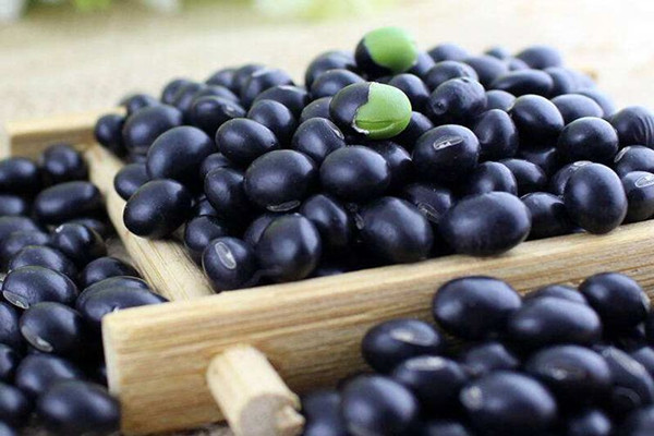 黑豆可以補(bǔ)血嗎 黑豆可以補(bǔ)充孕酮嗎 黑豆可以補(bǔ)血嗎 黑豆可以補(bǔ)充孕酮嗎