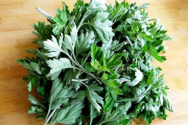 艾草泡腳天天可以泡嗎 艾草泡腳多久一次為宜 艾草泡腳天天可以泡嗎 艾草泡腳多久一次為宜