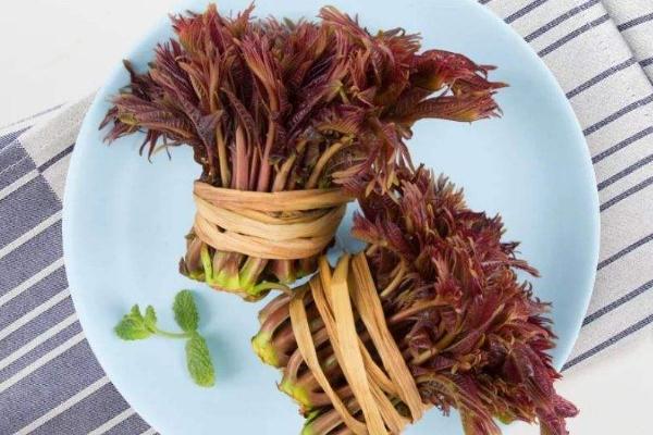 香椿的嘌呤含量高嗎 香椿的害處 香椿的嘌呤含量高嗎 香椿的害處