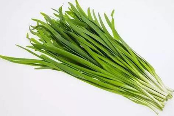 韭菜是涼性的嗎 韭菜是酸性食物嗎 韭菜是涼性的嗎 韭菜是酸性食物嗎