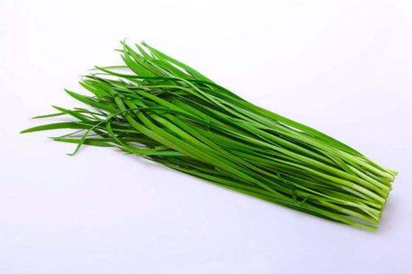 韭菜是不是發(fā)物 韭菜是不是感光食物 韭菜是不是發(fā)物 韭菜是不是感光食物