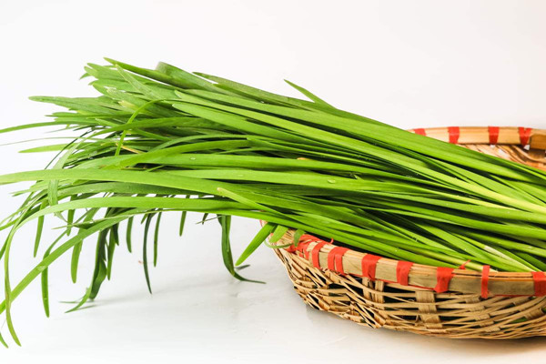 韭菜什么時(shí)候成熟 韭菜不適合什么人吃 韭菜什么時(shí)候成熟 韭菜不適合什么人吃