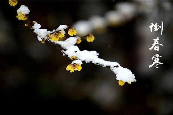 倒春寒是什么意思 倒春寒意味著什么 倒春寒是什么意思 倒春寒意味著什么