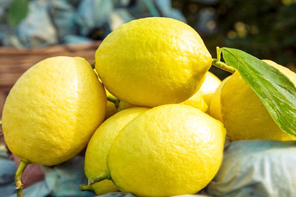 檸檬的熱量是多少大卡 檸檬吃了曬太陽會(huì)黑嗎 檸檬的熱量是多少大卡 檸檬吃了曬太陽會(huì)黑嗎