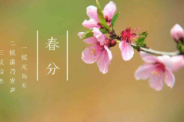 春分時(shí)太陽直射在什么地方 春分時(shí)候氣溫一般在多少度 春分時(shí)太陽直射在什么地方 春分時(shí)候氣溫一般在多少度