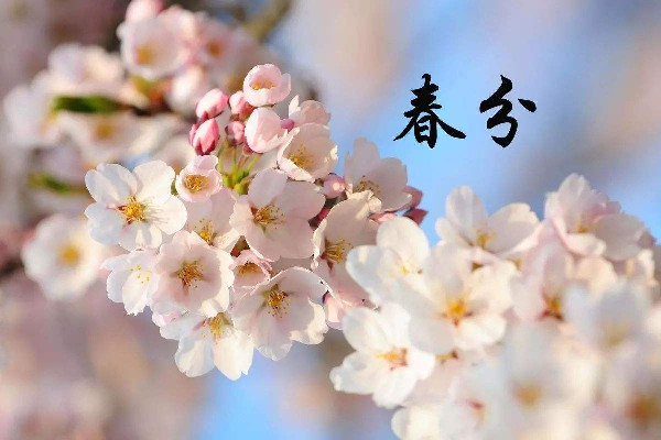 春分時(shí)太陽直射在什么地方 春分時(shí)候氣溫一般在多少度 春分時(shí)太陽直射在什么地方 春分時(shí)候氣溫一般在多少度