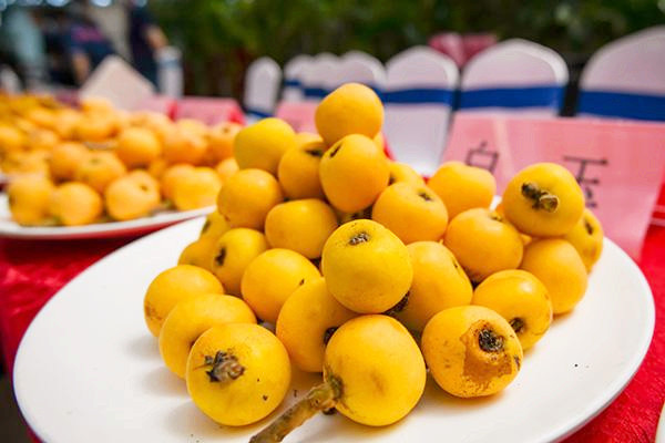 枇杷對咳嗽有用嗎 枇杷對慢性咽炎有效嗎 枇杷對咳嗽有用嗎 枇杷對慢性咽炎有效嗎