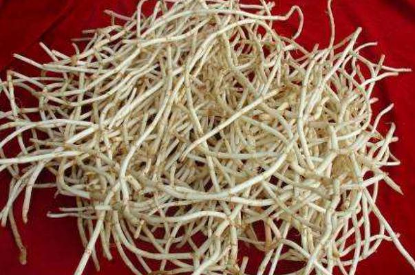 折耳根孕婦能吃嗎 折耳根孕婦吃了對胎兒有影響嗎 折耳根孕婦能吃嗎 折耳根孕婦吃了對胎兒有影響嗎