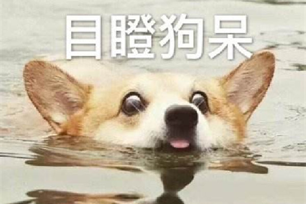 沒事就吃溜溜梅什么意思 沒事就吃溜溜梅你別管我了什么梗 沒事就吃溜溜梅什么意思 沒事就吃溜溜梅你別管我了什么梗