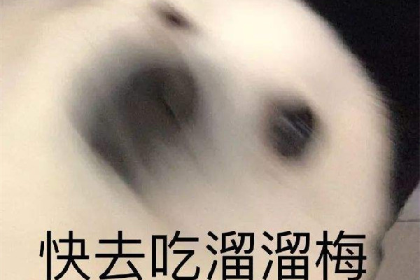 沒事就吃溜溜梅什么意思 沒事就吃溜溜梅你別管我了什么梗 沒事就吃溜溜梅什么意思 沒事就吃溜溜梅你別管我了什么梗