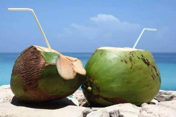 椰子要不要放冰箱冷藏 椰子要從哪里鉆孔 椰子要不要放冰箱冷藏 椰子要從哪里鉆孔