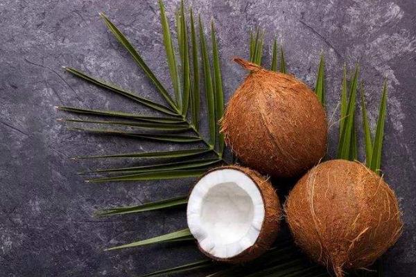 椰子有果肉嗎 椰子的果肉能吃嗎 椰子有果肉嗎 椰子的果肉能吃嗎